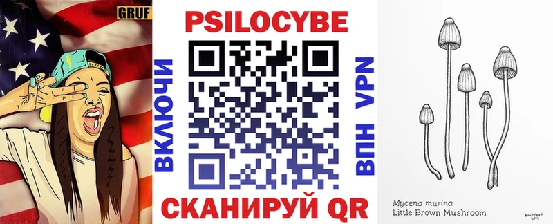 где найти наркотики  Балабаново  Галлюциногенные грибы Psilocybe 